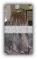 Extensiones